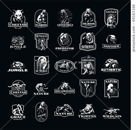 Collection of wild cats 69163166