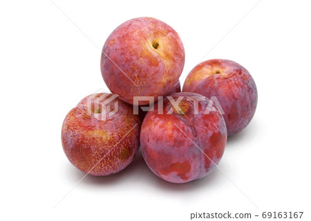 Plum 69163167