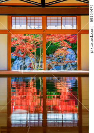 Beautiful floor autumn leaves Beautiful floor autumn leaves 69164475