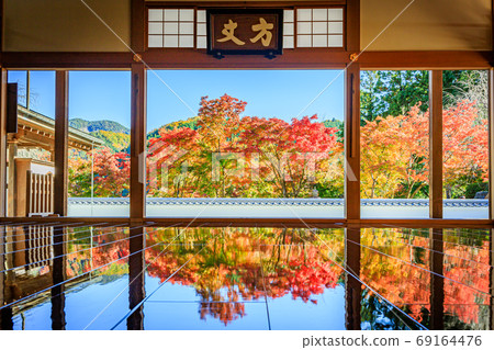 Beautiful floor autumn leaves Beautiful floor autumn leaves 69164476