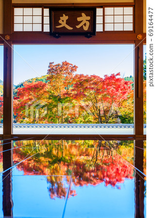 Beautiful floor autumn leaves Beautiful floor autumn leaves 69164477