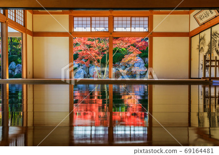 Beautiful floor autumn leaves Beautiful floor autumn leaves 69164481