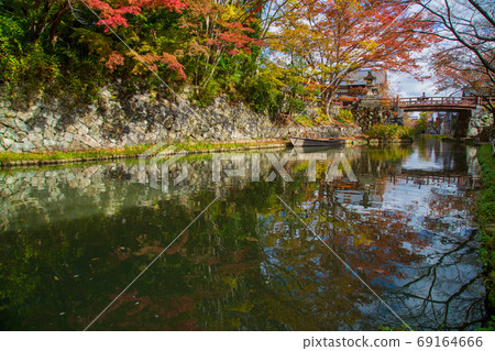 Autumn leaves of Hatchobori, Omihachiman City, Shiga Prefecture Autumn leaves of Hatchobori, Omihachiman City, Shiga Prefecture 69164666