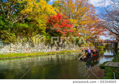 Autumn leaves of Hatchobori, Omihachiman City, Shiga Prefecture Autumn leaves of Hatchobori, Omihachiman City, Shiga Prefecture 69164669