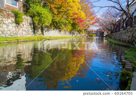 Autumn leaves of Hatchobori, Omihachiman City, Shiga Prefecture Autumn leaves of Hatchobori, Omihachiman City, Shiga Prefecture 69164705