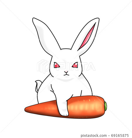 White Rabbit Munching on a Carrot Stock Vector - Illustration of gain,  cartoon: 135560628