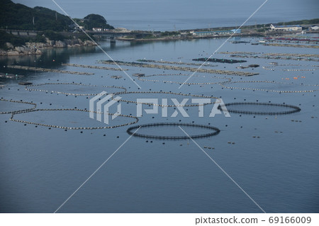 Kochi Sukumo Bay tuna farm 69166009