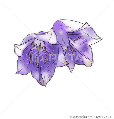 Shiyou Shashin 69167305