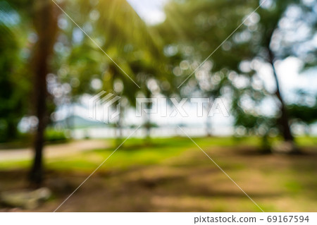 Blur nature bokeh green garden with tropical leaf copy space. 69167594