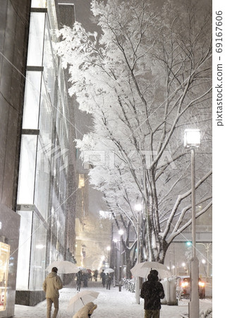 東京表參道被大雪襲擊 東京表參道被大雪襲擊 69167606