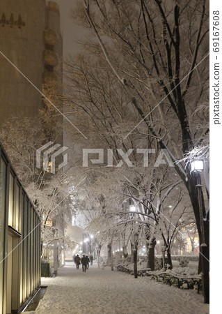 東京表參道被大雪襲擊 東京表參道被大雪襲擊 69167608