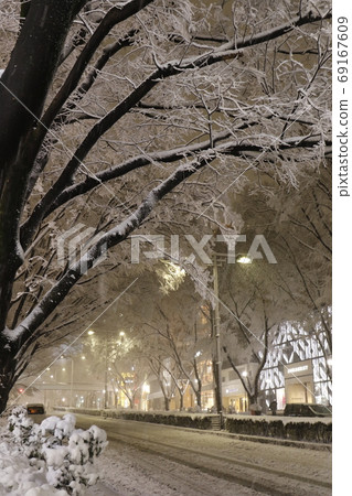 東京表參道被大雪襲擊 東京表參道被大雪襲擊 69167609