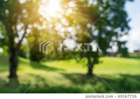 Blur nature bokeh green garden with tropical leaf copy space. Blur nature bokeh green garden with tropical leaf copy space. 69167726