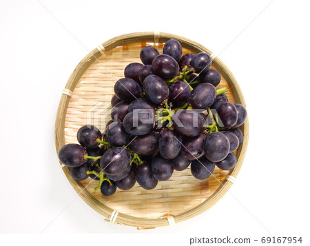 葡萄葡萄 69167954