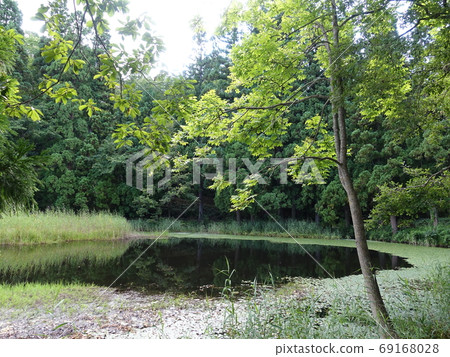 西木海沼市民的森林米澤 西木海沼市民的森林米澤 69168028