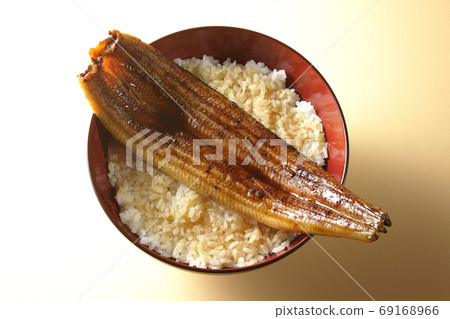 上面烤了整條鰻魚的鰻魚碗（概述） 69168966