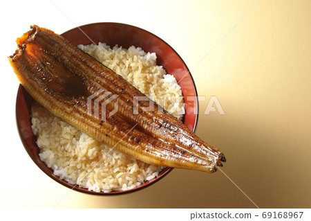 上面烤了整條鰻魚的鰻魚碗（概述） 69168967
