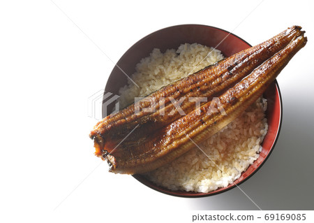 An eel bowl with a whole eel broiled on a white background (overview) 69169085