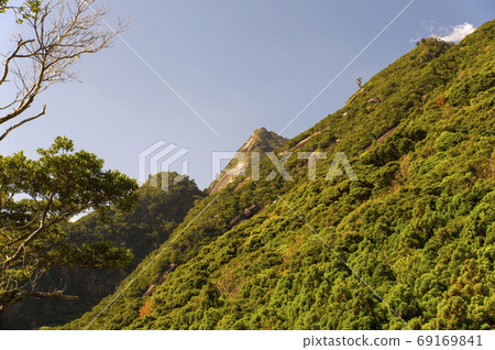 Mt. Mottemu of Onoma Sanzan in Yakushima, Kagoshima Prefecture Mt. Mottemu of Onoma Sanzan in Yakushima, Kagoshima Prefecture 69169841