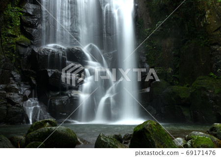 Mulberry tree waterfall Mulberry tree waterfall 69171476