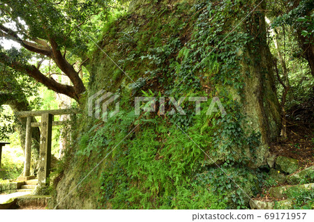 Shinnai Shrine (Koyasu Shrine) Torii 69171957