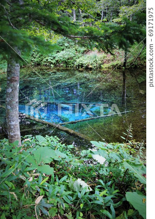 Konoike Pond (Kiyosato-cho, Hokkaido) 69171975