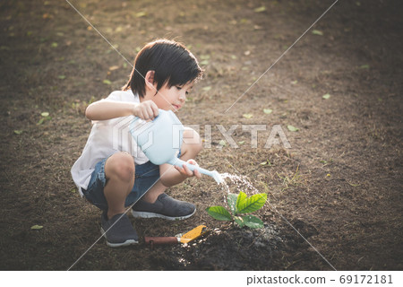 Cute Asian child watering young tree Cute Asian child watering young tree 69172181