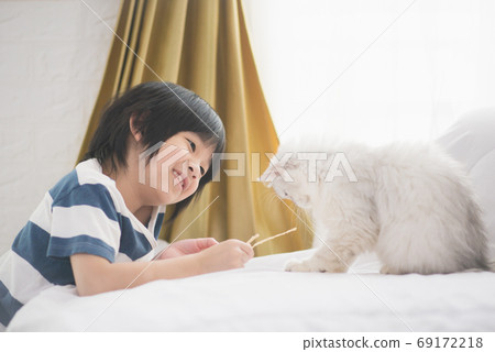 cute Asian child feeding  cats at home 69172218