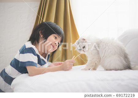 cute Asian child feeding  cats at home 69172219