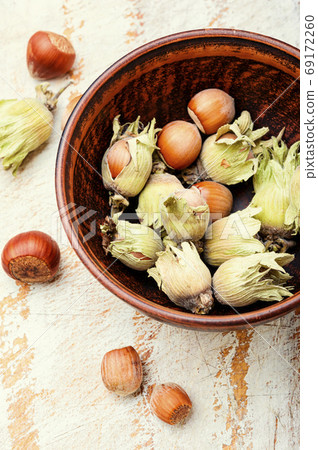 Hazelnuts in the husk 69172260