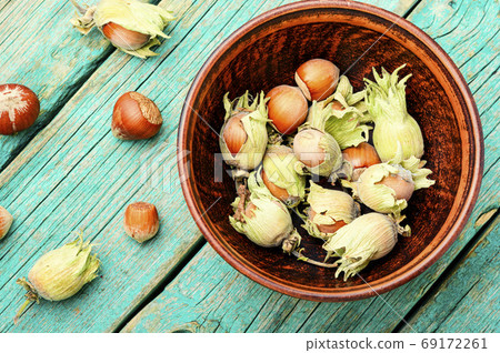 Hazelnuts or filbert 69172261