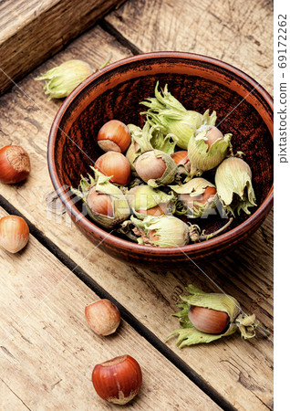 Hazelnuts in the husk 69172262