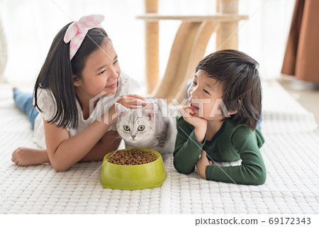 Asian children feeding American shorthair cats at Asian children feeding American shorthair cats at 69172343