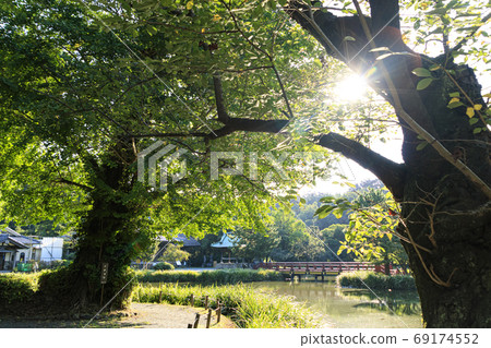 與持有鎌倉幕府的北條相關的著名寺廟的夏天 與持有鎌倉幕府的北條相關的著名寺廟的夏天 69174552