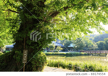 The summer of a famous temple associated with Hojo, who holds the Kamakura Shogunate 69174554