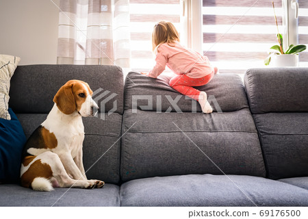 Little baby girl with beagle dog sitting on the Little baby girl with beagle dog sitting on the 69176500