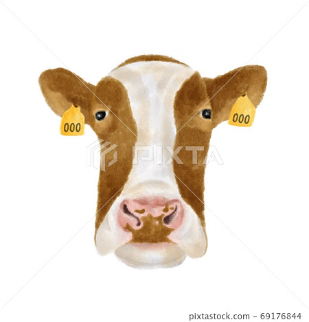 Brown cow face with ear tags watercolor style illustration 69176844