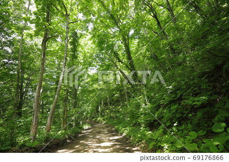 Shirakami Line Shirakami Line 69176866