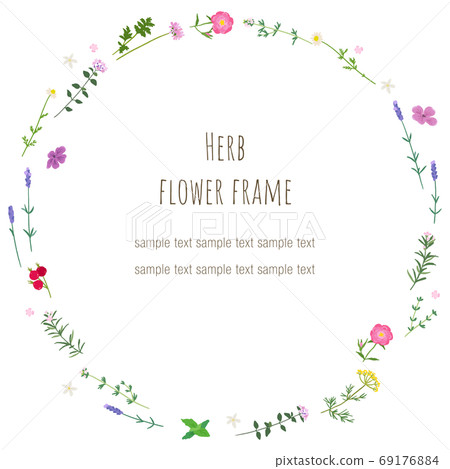Botanical herb frame 69176884