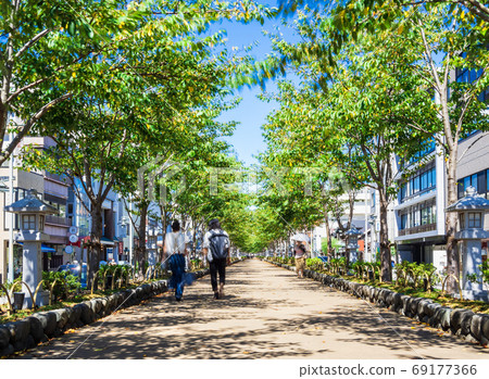 Kamakura Wakamiya Otoji Jogaku 69177366