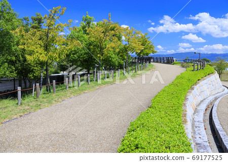 烏米山公園夏天的花朵 69177525