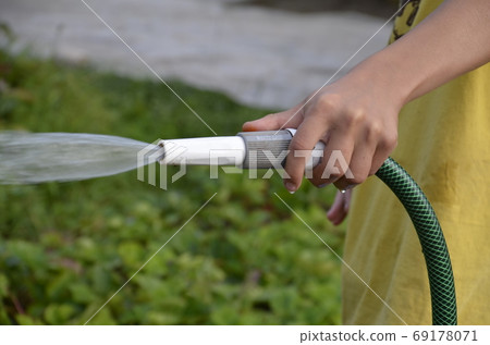 The boy is watering with a hose. A stream of water pours in small drops. The boy is watering with a hose. A stream of water pours in small drops. 69178071