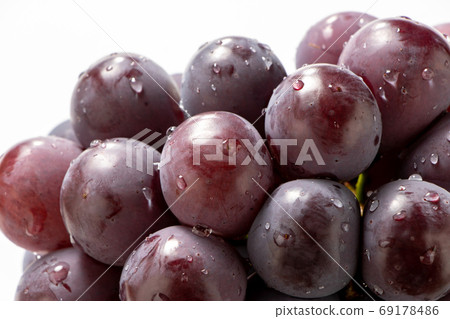 葡萄（無籽先鋒）。 69178486