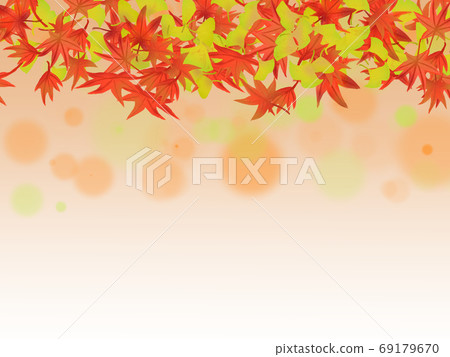 Background material of autumn leaves and ginkgo biloba 69179670