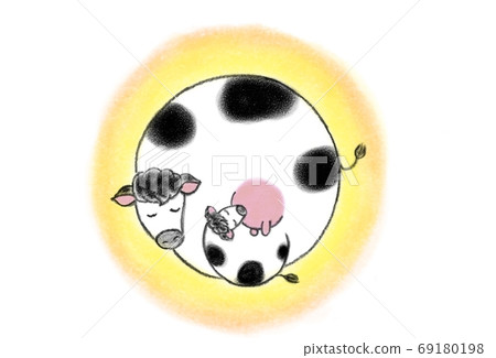 Female cow feeding a calf 69180198