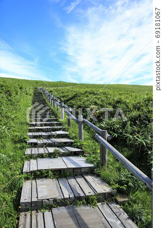Wooden path leading to the hill Wooden path leading to the hill 69181067