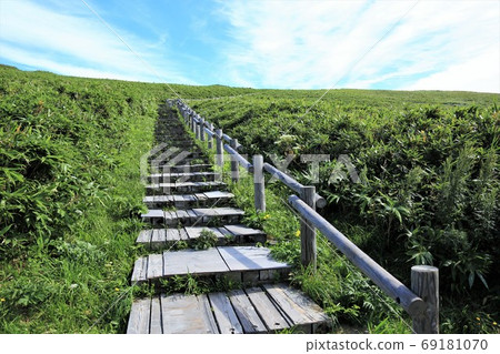 Wooden path leading to the hill Wooden path leading to the hill 69181070