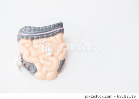 Miniature people: Doctor are researching about intestine problem , Science and Medical Concept 69182119