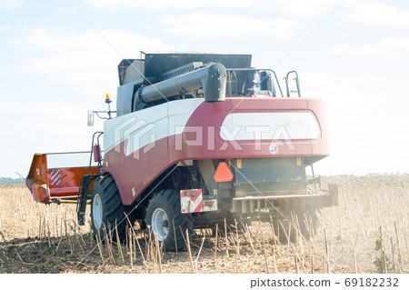 Crop in the field on a sunny day. Autumn harvest. Crop in the field on a sunny day. Autumn harvest. 69182232