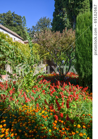 Generalife with red flowers (Granada, Andalusia, Spain) 69182667